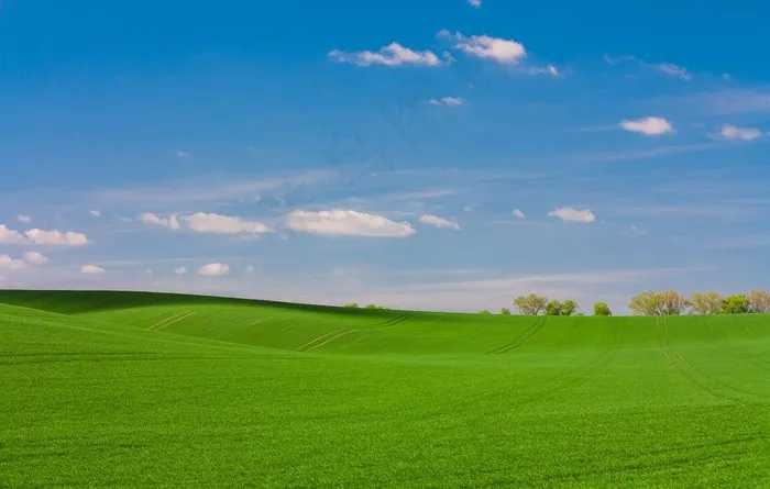草地 草原图片