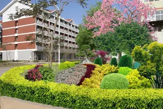 小区花园效果图片