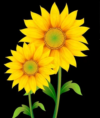 手绘向日葵免抠图素材图片