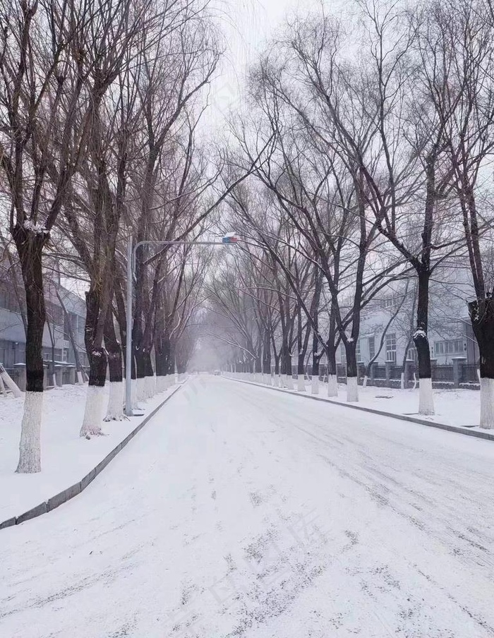 雪景图片