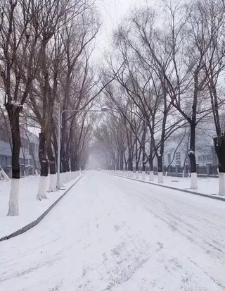 雪景图片