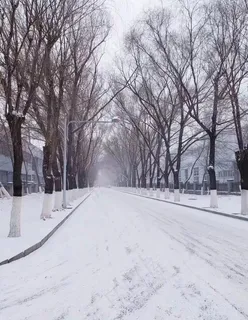 雪景图片 雪景图片