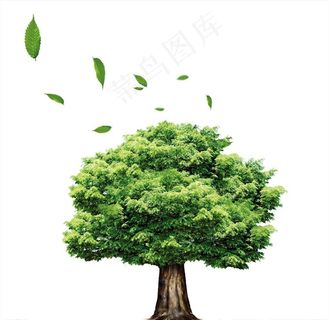 树图片