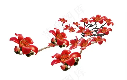 木棉花素材图片