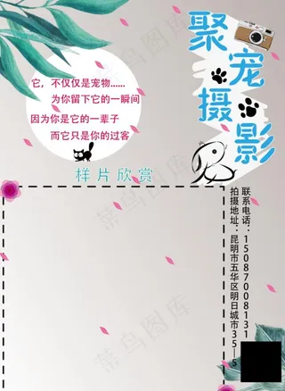 清新 简约摄影宣传海报图片