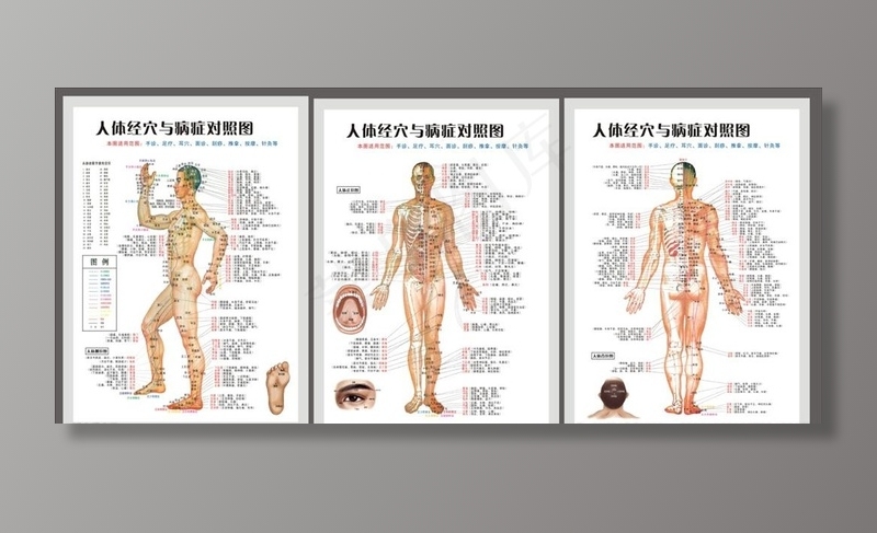 人体经穴与病症对照片图片(400X550)cdr矢量模版下载