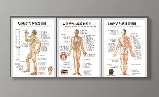 人体经穴与病症对照片图片 人体经穴与病症对照片图片