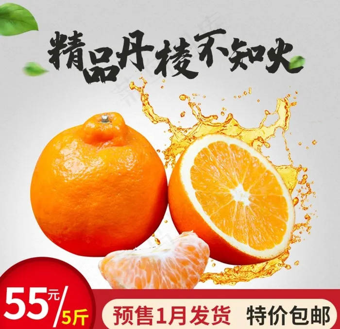 精品丹桔不知火图片psd模版下载