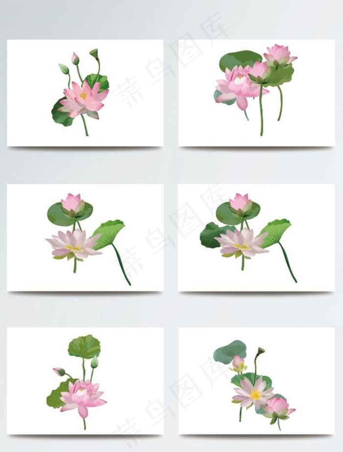 荷花矢量图片