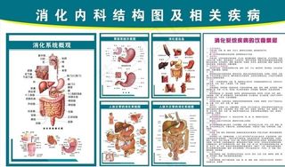 消化内科医院挂图图片