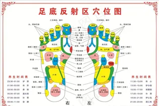 足底反射区穴位图图片