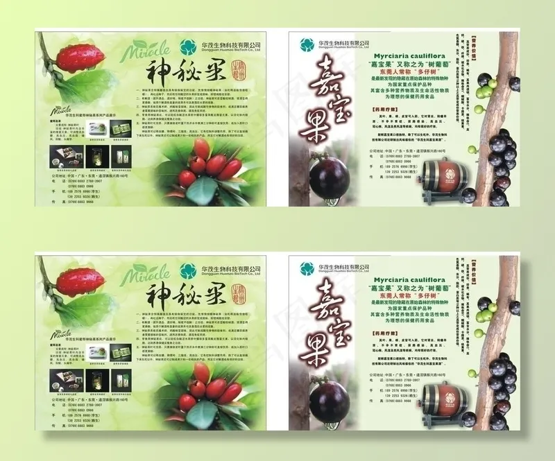 美食节展柜两侧图片cdr矢量模版下载