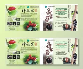 美食节展柜两侧图片