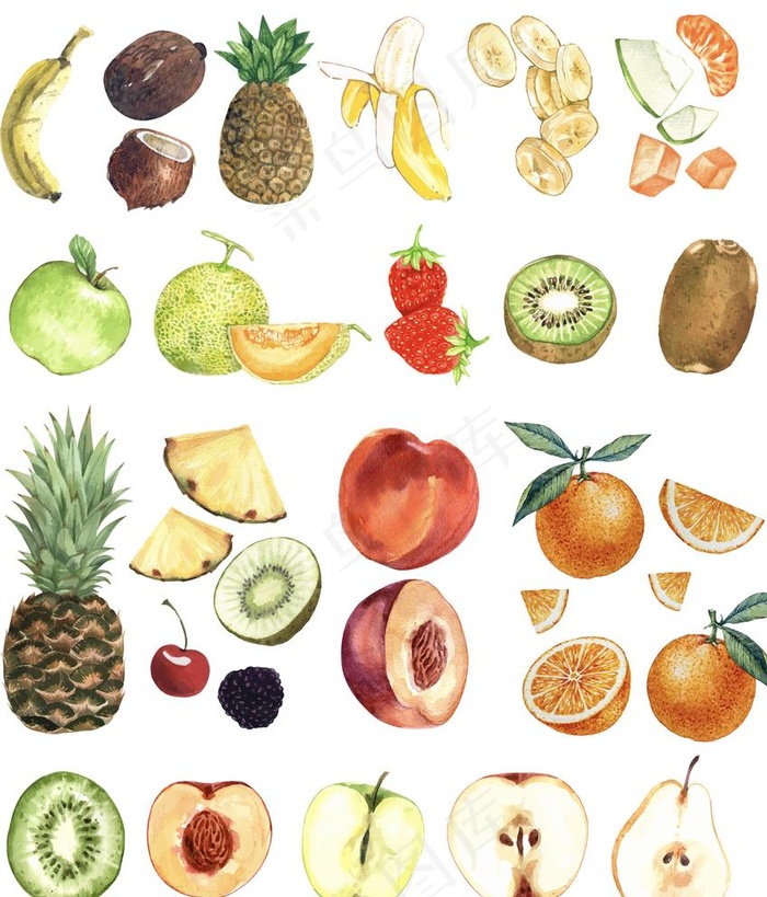 水果 手绘水果 百香果 水果食图片
