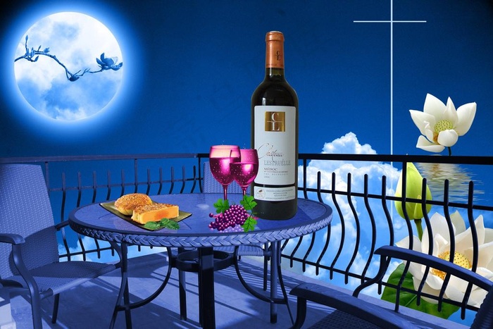 荷花邀明月图片