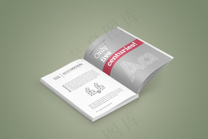 书籍效果图样机图片(4000X2800(DPI:300))psd模版下载