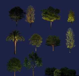 夜景效果图植物图片