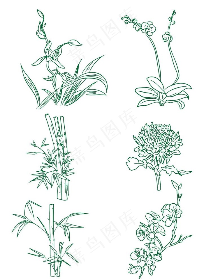 梅兰竹菊植物线稿图片