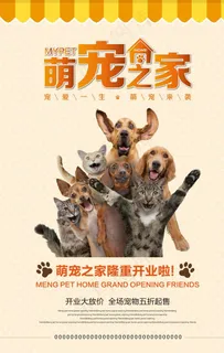 萌宠之家海报图片