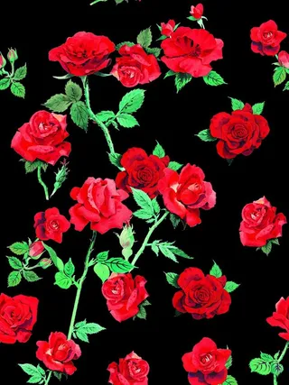 玫瑰花背景图片