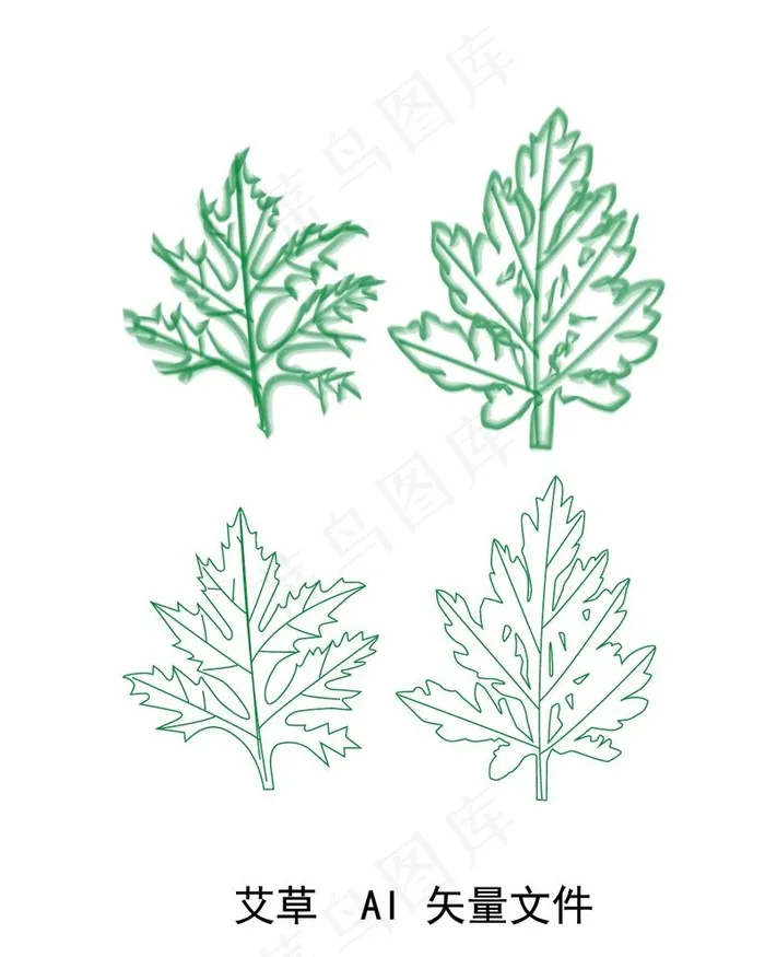 艾草矢量图片