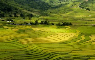 梯田图片