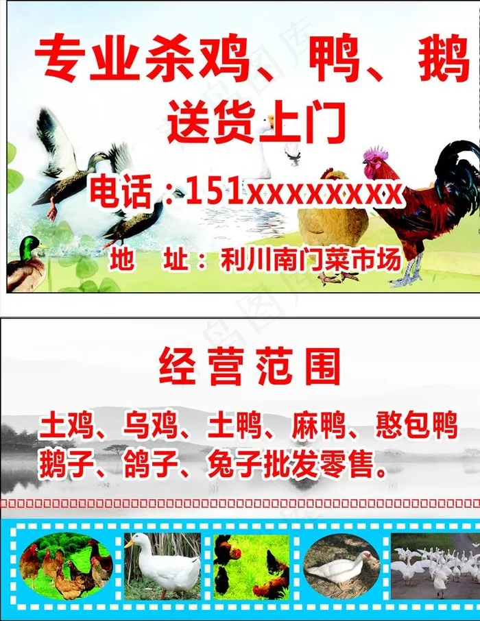 鸡鸭名片图片(210X297)cdr矢量模版下载