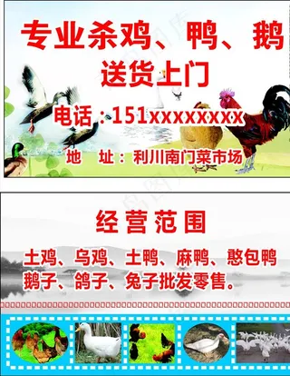 鸡鸭名片图片