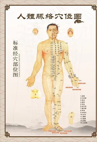 人体穴位图图片