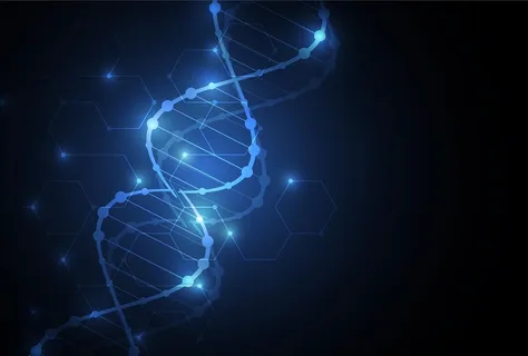 基因图片 基因图片