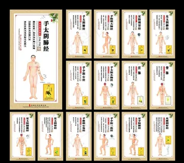 经络图片 经络图片