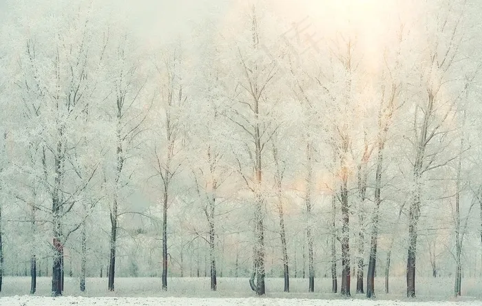 冬日雪景图片