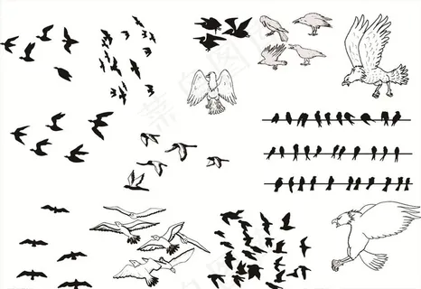 黑白矢量飞鸟剪影图片 黑白矢量飞鸟剪影图片