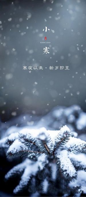 地产小寒节气海报图片