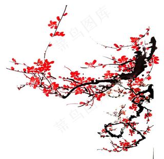 梅花素材图片
