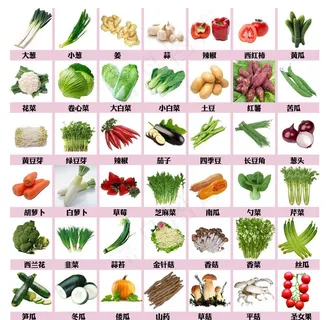 蔬菜素材图片