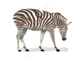 卡通斑马图片