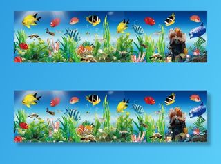 鱼缸背景图图片