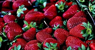 草莓图片