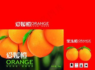 果冻橙橙子手提盒橙子包装图片
