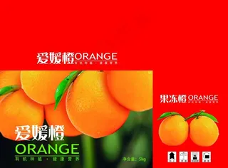 果冻橙橙子手提盒橙子包装图片