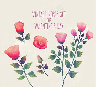 情人节玫瑰图片