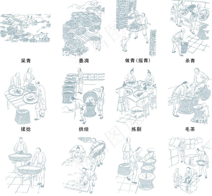 制茶工艺图片