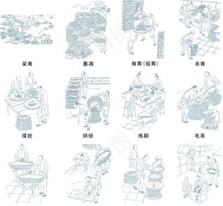 制茶工艺图片