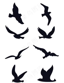 海鸥剪影图片