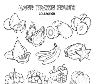 水果着色设计图片