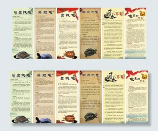龟介绍图片