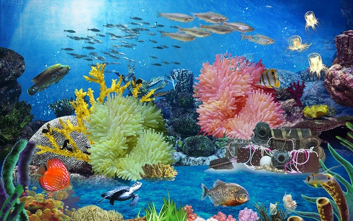 海底世界 背景图片
