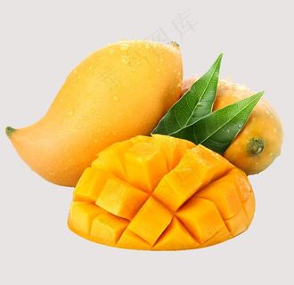 芒果图片