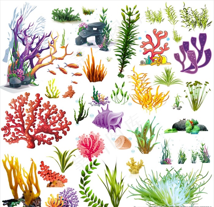 珊瑚水草图片(8000X8000(DPI:150))psd模版下载